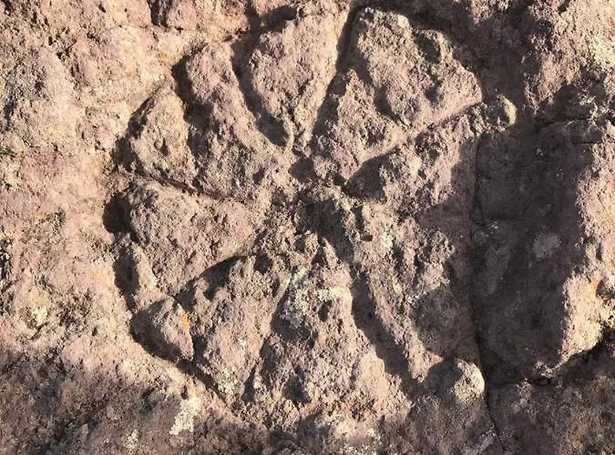 El Horno Masca * 布埃纳维斯塔城北