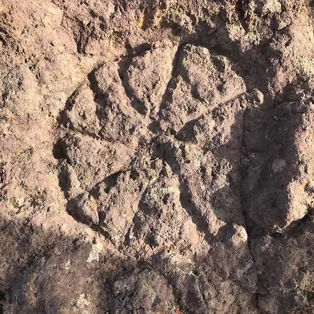 El Horno Masca * Buenavista Del Norte